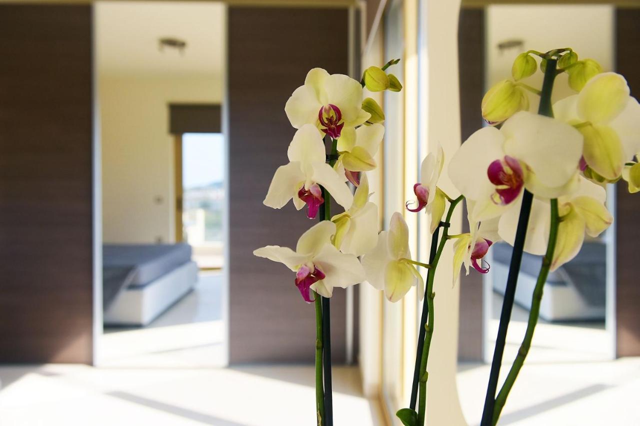 Stelia Luxury *